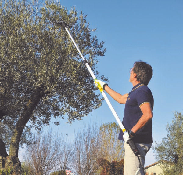 ABBACCHIATORE 500 PLUS