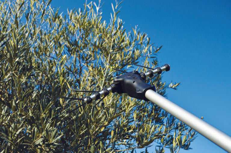 ABBACCHIATORE 500 PLUS